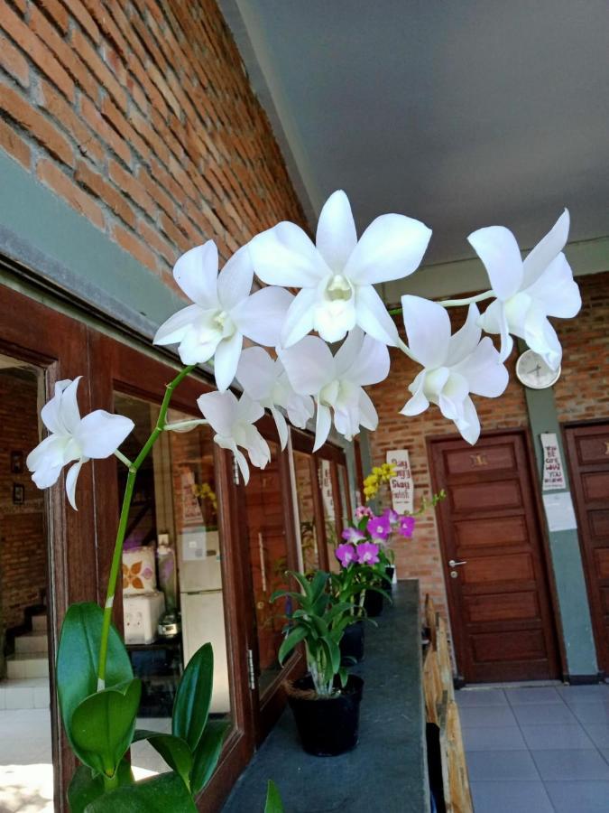 Bua Guest House Medan Exterior foto